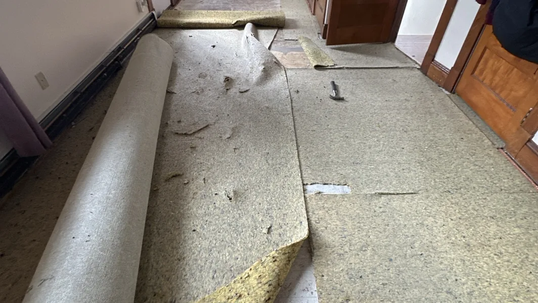 Carpet to Plank Flooring — documentary photograph 2