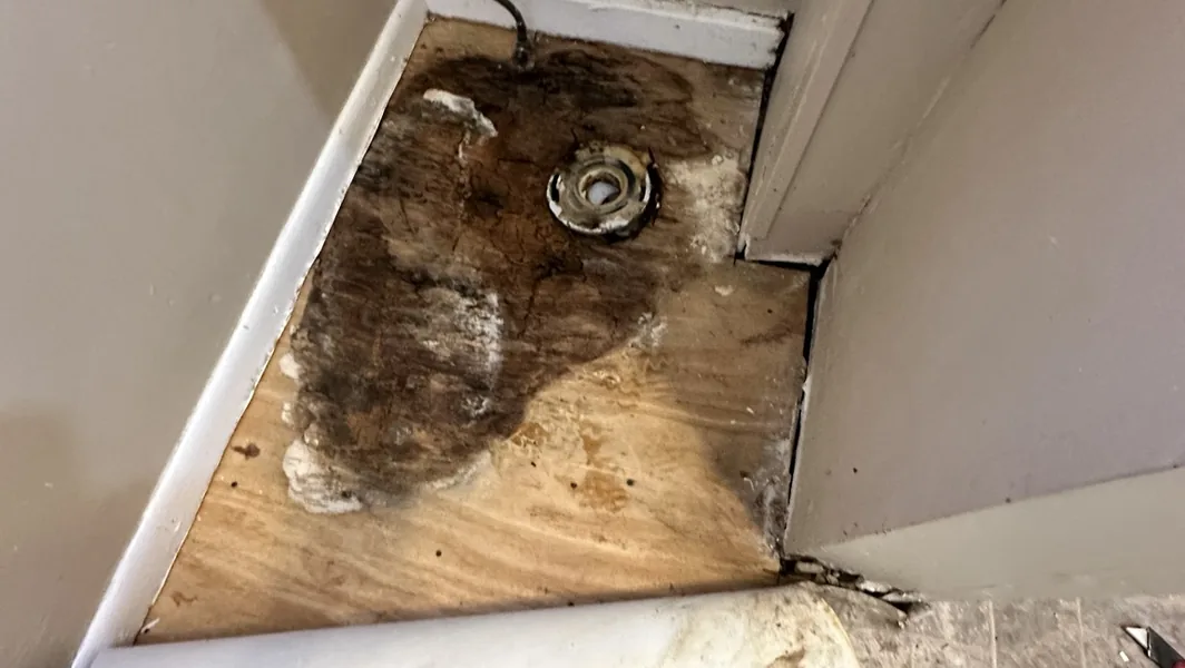 Bathroom Subfloor Repair