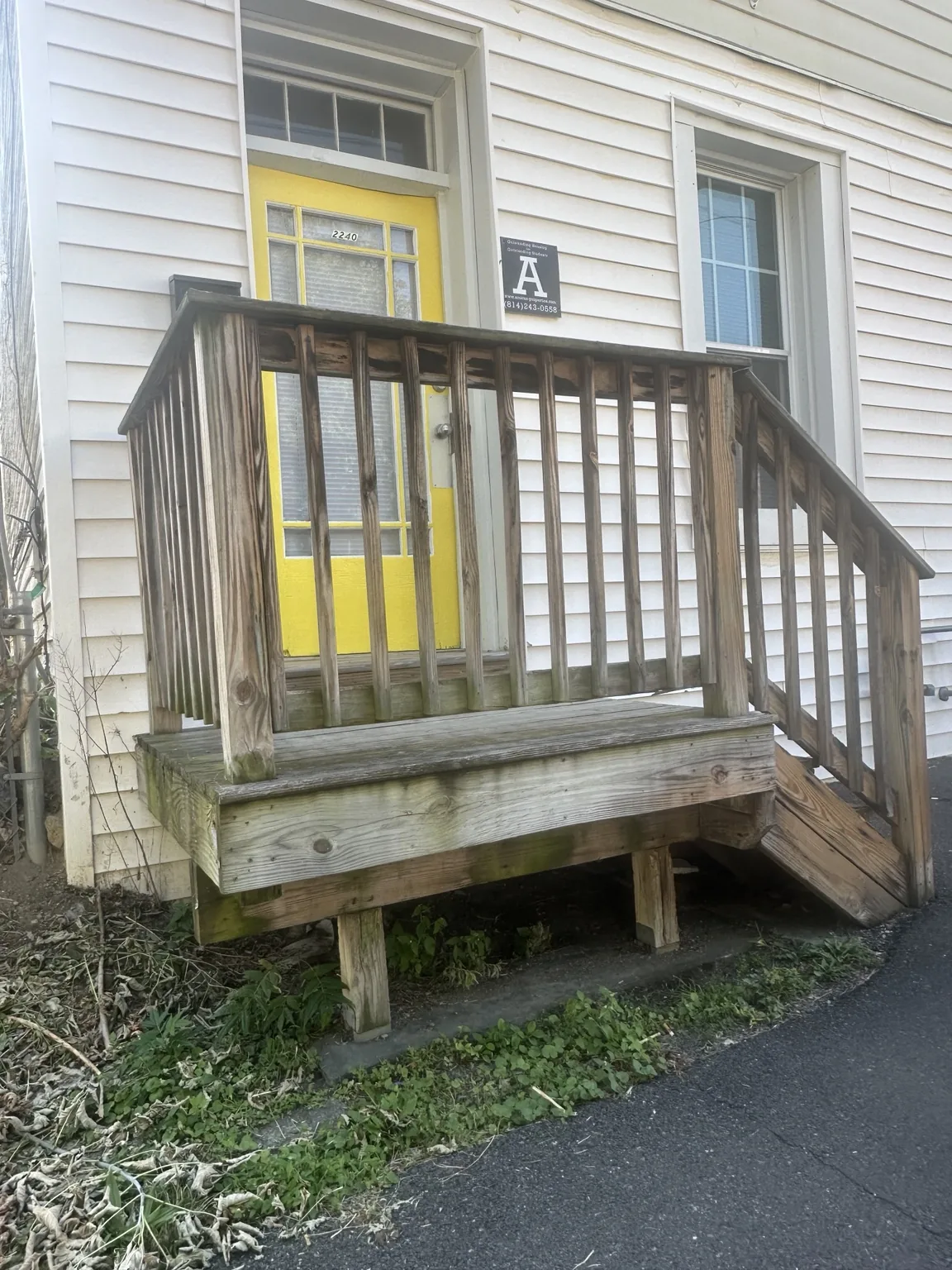 Exterior Deck Restoration & Painting — documentary photograph 2